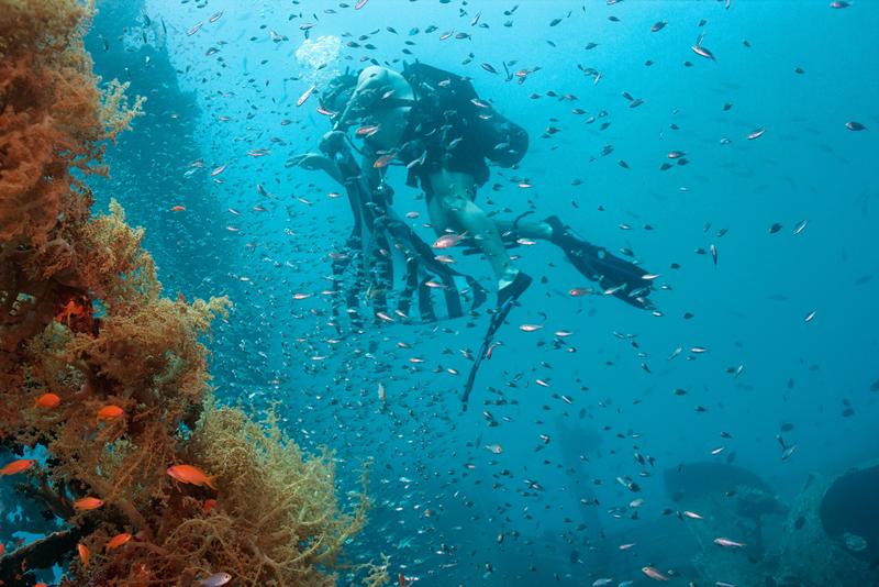diving in Jordan